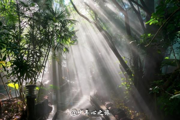 泰坦黎明